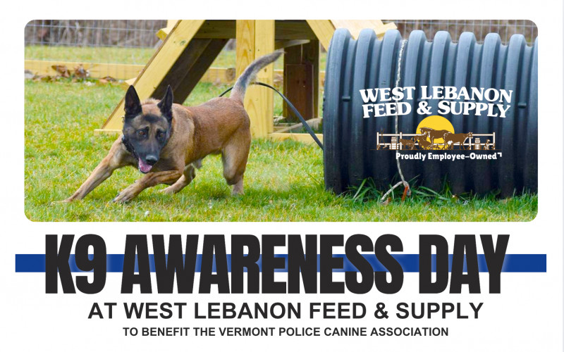 K9 Awareness Day is Back at WLFS!
