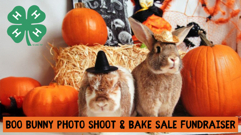 Boo Bunny Photo Shoot & Bake Sale Fundraiser