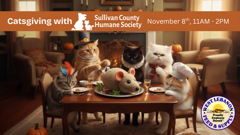 Catsgiving with Sullivan County Humane Society