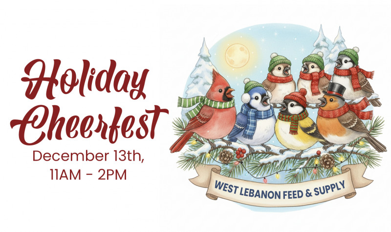 Holiday Cheerfest