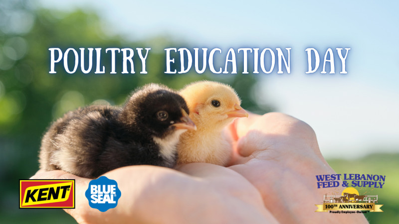 Poultry Education Day