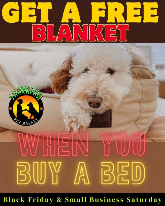 Black Friday / Small Business Saturday