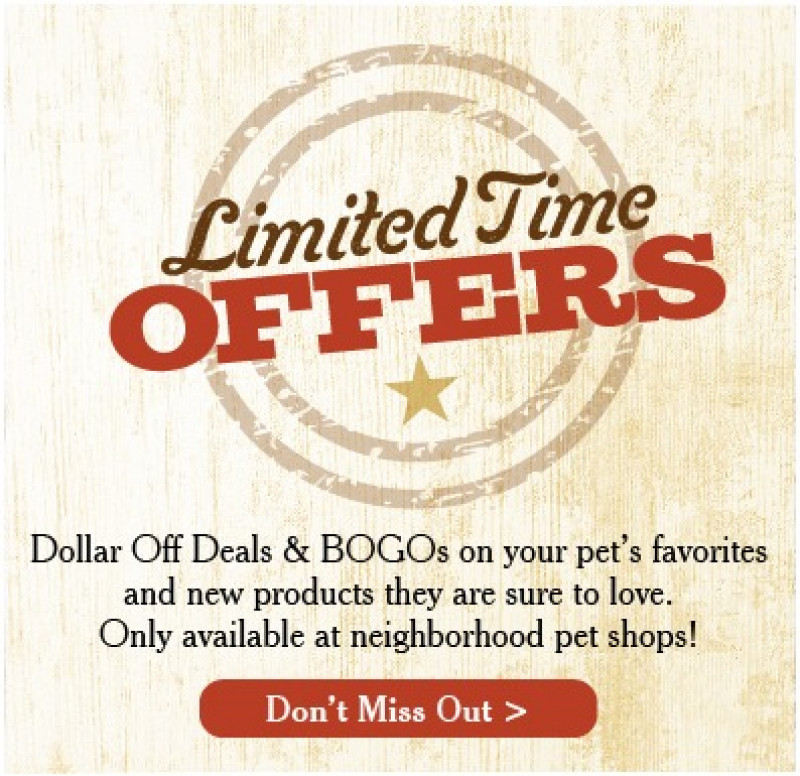 Astro Loyalty Program