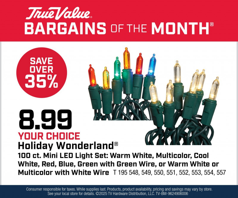 Your Choice Holiday Wonderland® 100 Count Light Sets $8.99