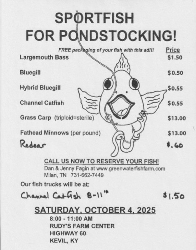 Rudys Fish Day