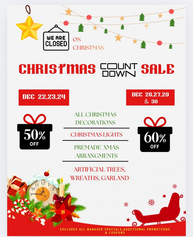 Christmas Count Down Sale