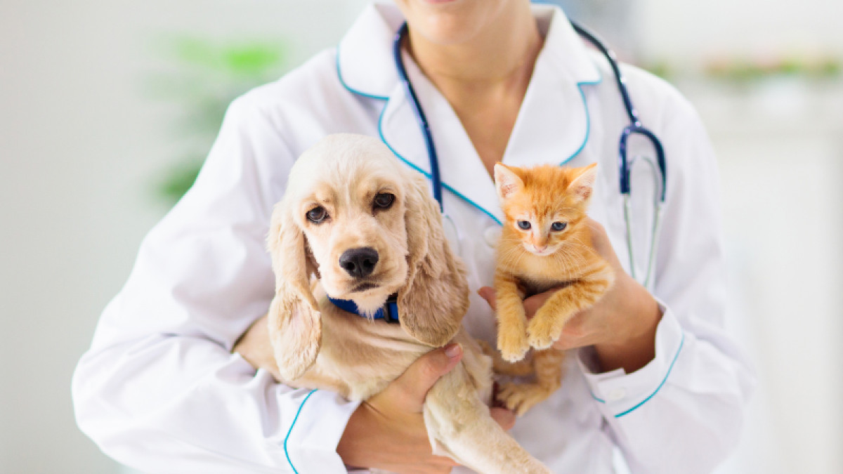 Vaccine Clinic