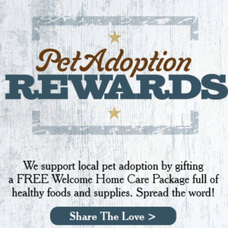 Pet Adoption Rewards
