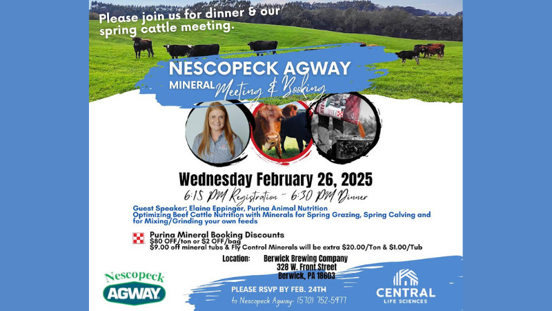 Beef Cattle Mineral Meeting